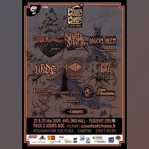 Courts of Chaos Flyer
